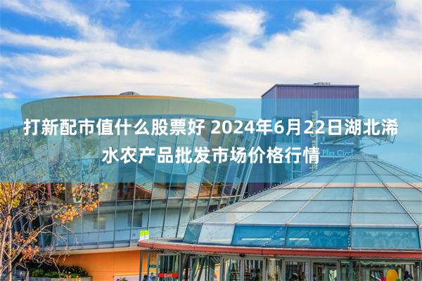 打新配市值什么股票好 2024年6月22日湖北浠水农产品批发市场价格行情