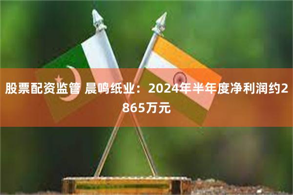 股票配资监管 晨鸣纸业：2024年半年度净利润约2865万元