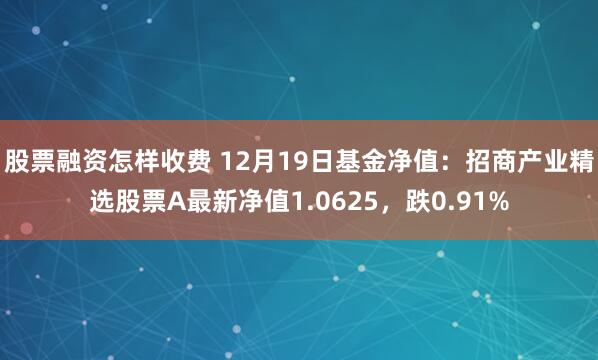 股票融资怎样收费 12月19日基金净值：招商产业精选股票A最新净值1.0625，跌0.91%