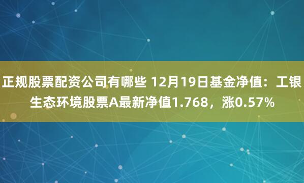 正规股票配资公司有哪些 12月19日基金净值：工银生态环境股票A最新净值1.768，涨0.57%