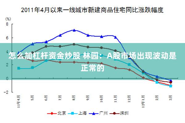 怎么加杠杆资金炒股 林园：A股市场出现波动是正常的