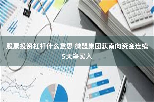 股票投资杠杆什么意思 微盟集团获南向资金连续5天净买入