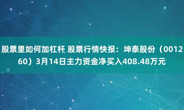 股票里如何加杠杆 股票行情快报：坤泰股份（001260）3月14日主力资金净买入408.48万元